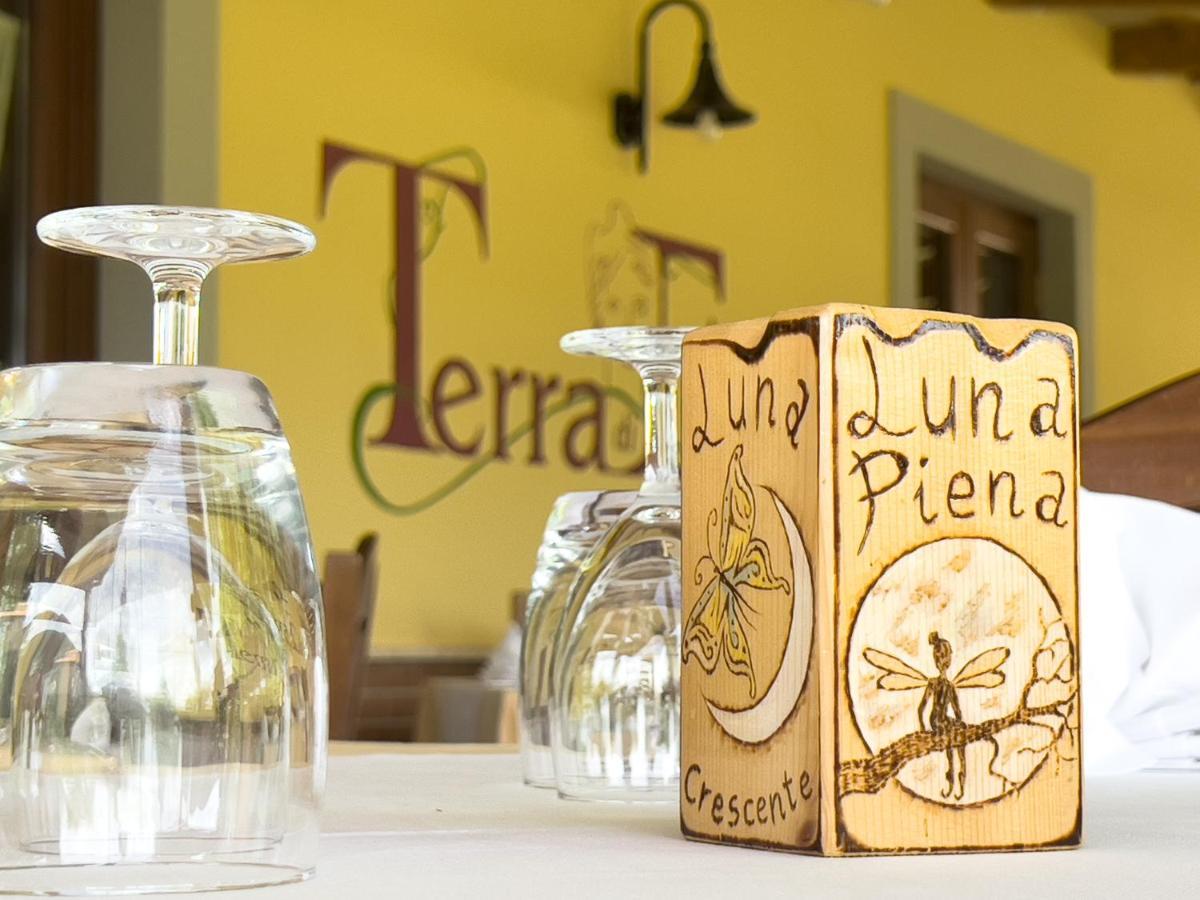 أسشيا Agriturismo Terra Di Elea Azienda Agricola Di Raimondo Michela المظهر الخارجي الصورة