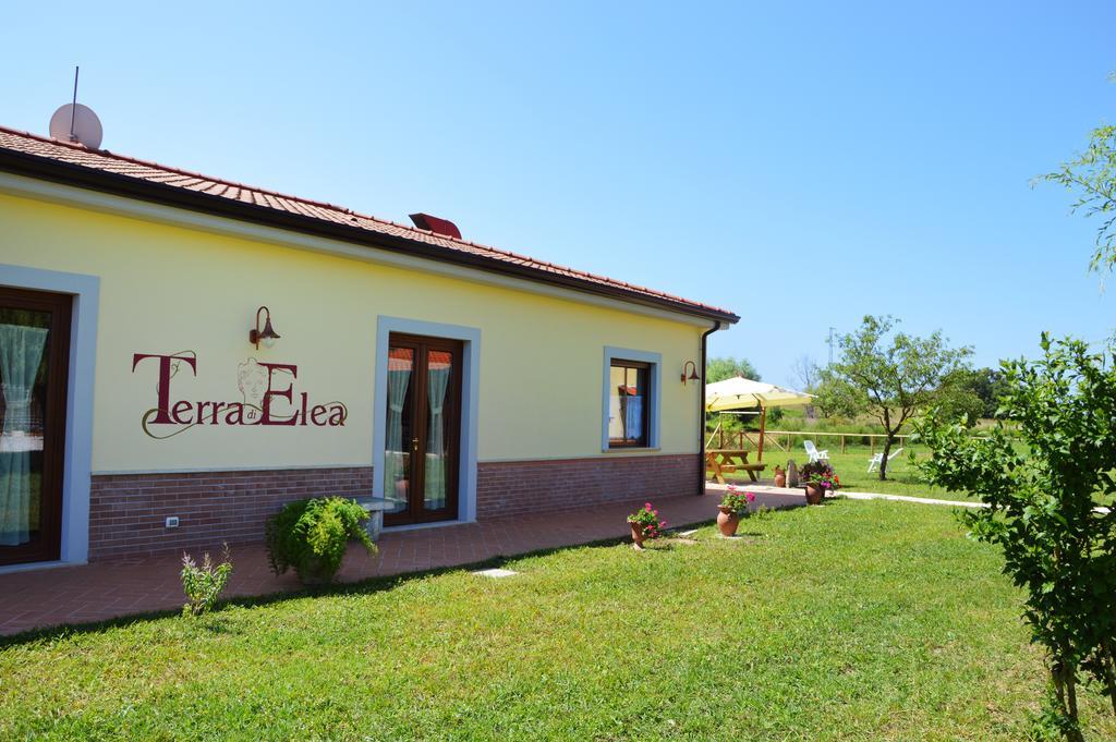 أسشيا Agriturismo Terra Di Elea Azienda Agricola Di Raimondo Michela المظهر الخارجي الصورة