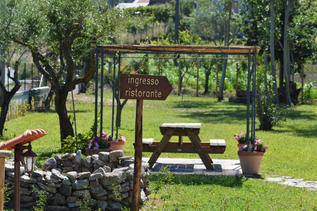 أسشيا Agriturismo Terra Di Elea Azienda Agricola Di Raimondo Michela المظهر الخارجي الصورة