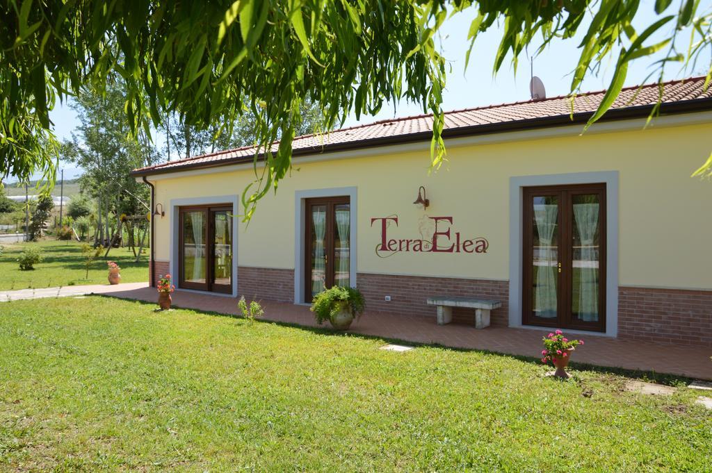 أسشيا Agriturismo Terra Di Elea Azienda Agricola Di Raimondo Michela المظهر الخارجي الصورة