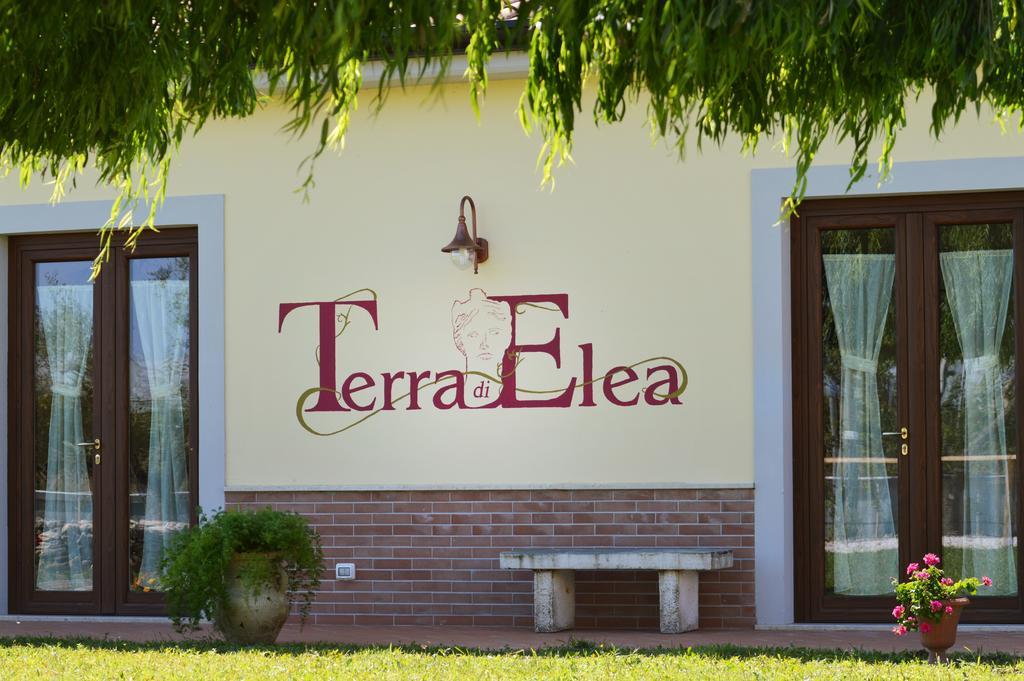 أسشيا Agriturismo Terra Di Elea Azienda Agricola Di Raimondo Michela المظهر الخارجي الصورة