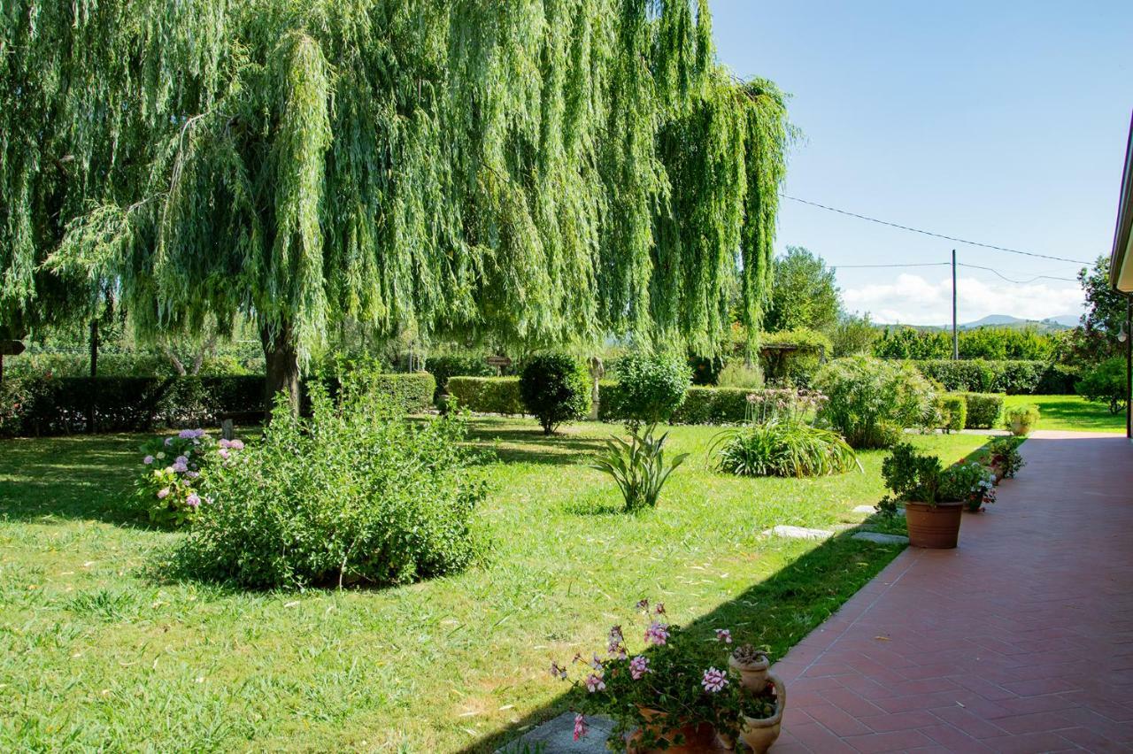 أسشيا Agriturismo Terra Di Elea Azienda Agricola Di Raimondo Michela المظهر الخارجي الصورة