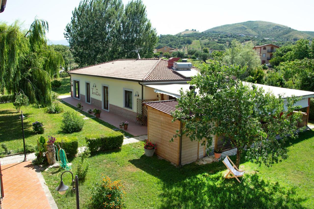 أسشيا Agriturismo Terra Di Elea Azienda Agricola Di Raimondo Michela المظهر الخارجي الصورة